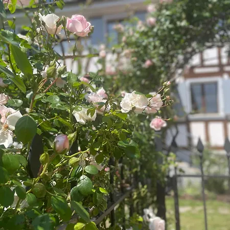 Lejlighed Hideaway, Cozy Near Basel